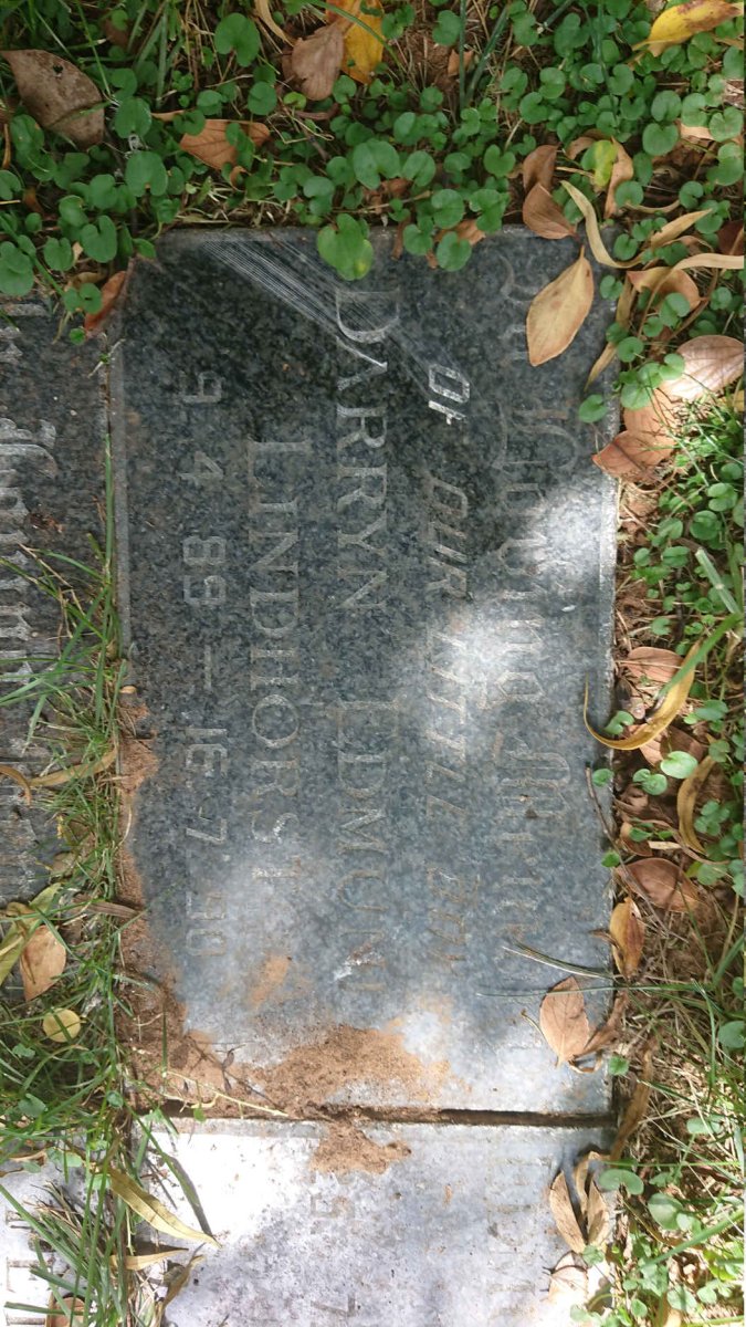 LINDHORST Darryn Edmund 1989-1990