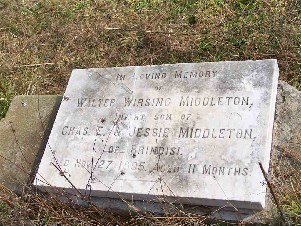 MIDDLETON Walter Wirsing -1895