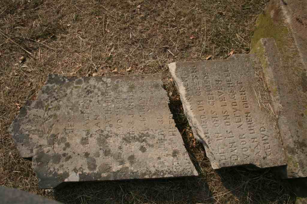 NYE Aletha Catharina nee V.D. MERWE 1873-1924