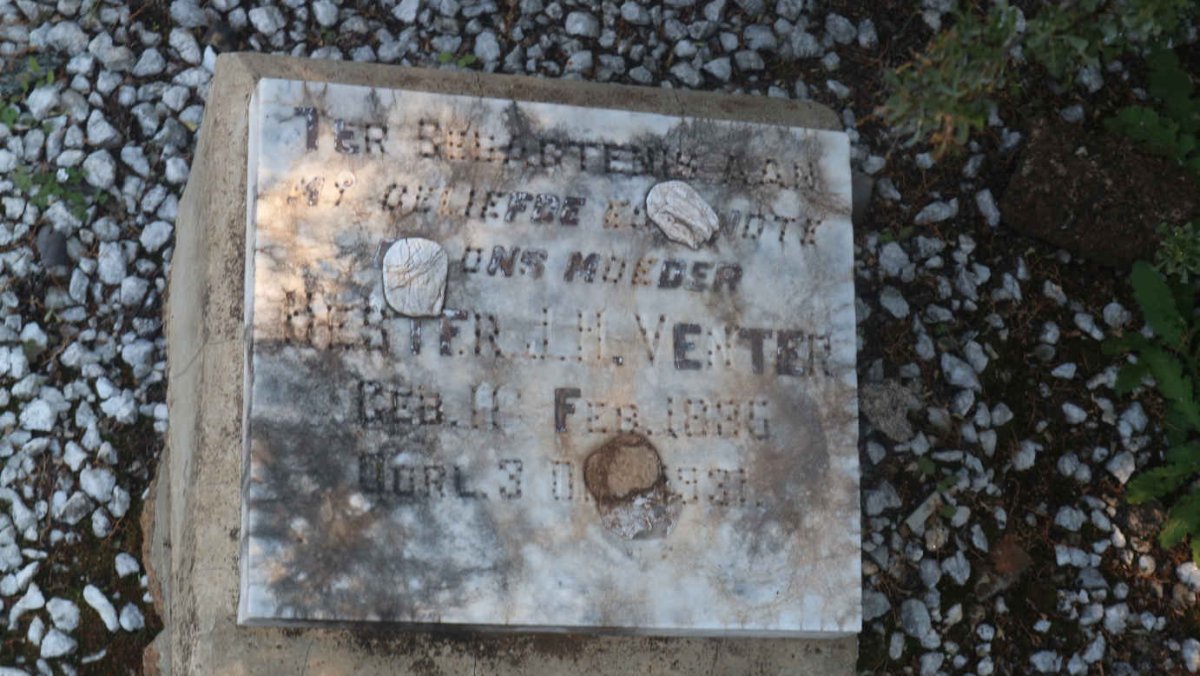 VENTER Hester J.H. 1886-1931