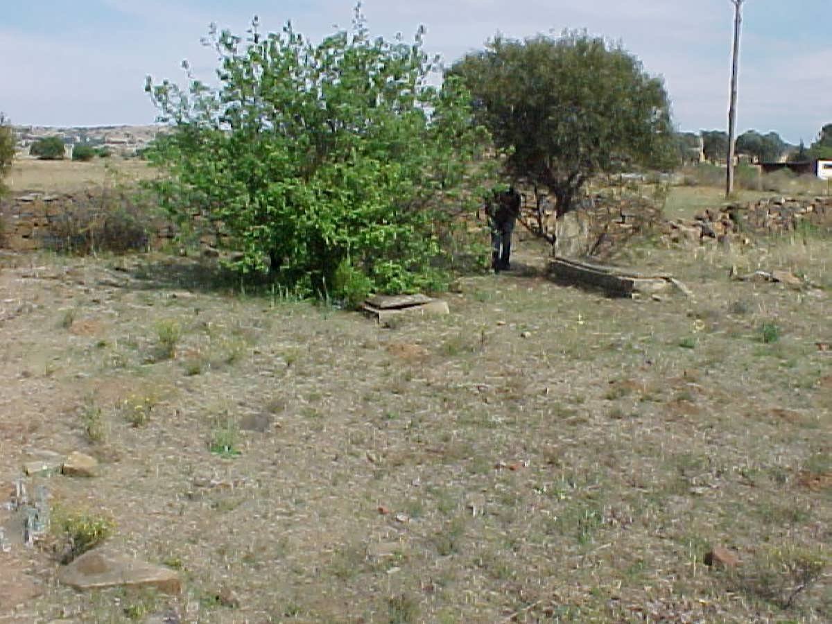 5. Overview