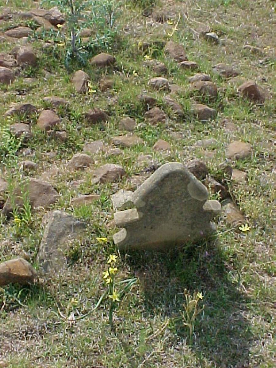 TONDER van