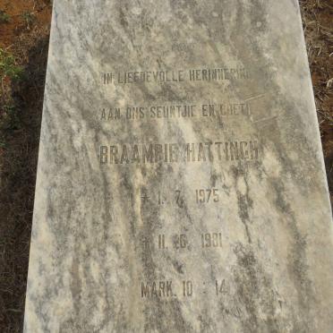 HATTINGH Braampie 1975-1981