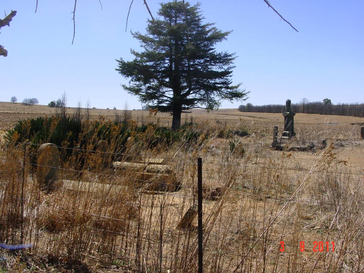 1. Overview
