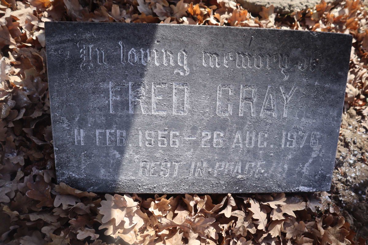 GRAY Fred 1956-1976