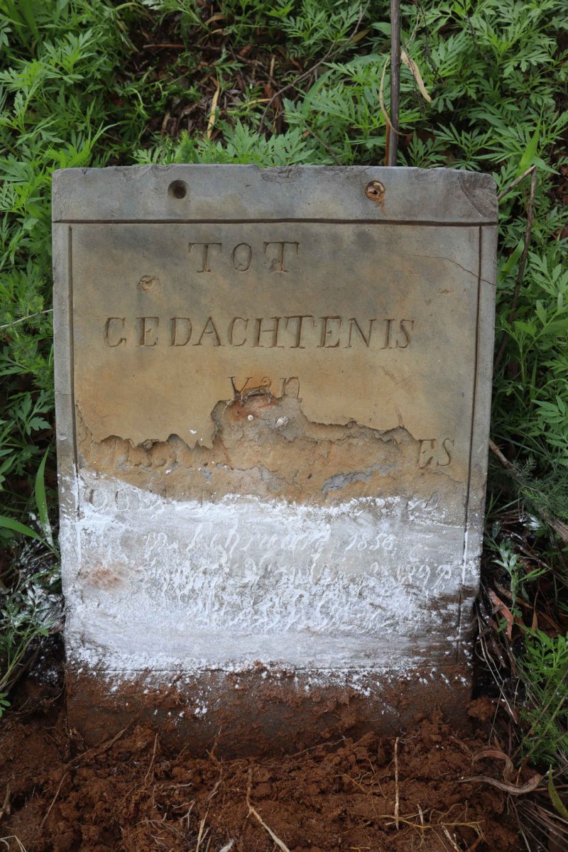 ?ES 1856-1892