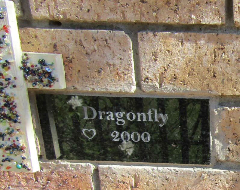 Dragonfly 2000