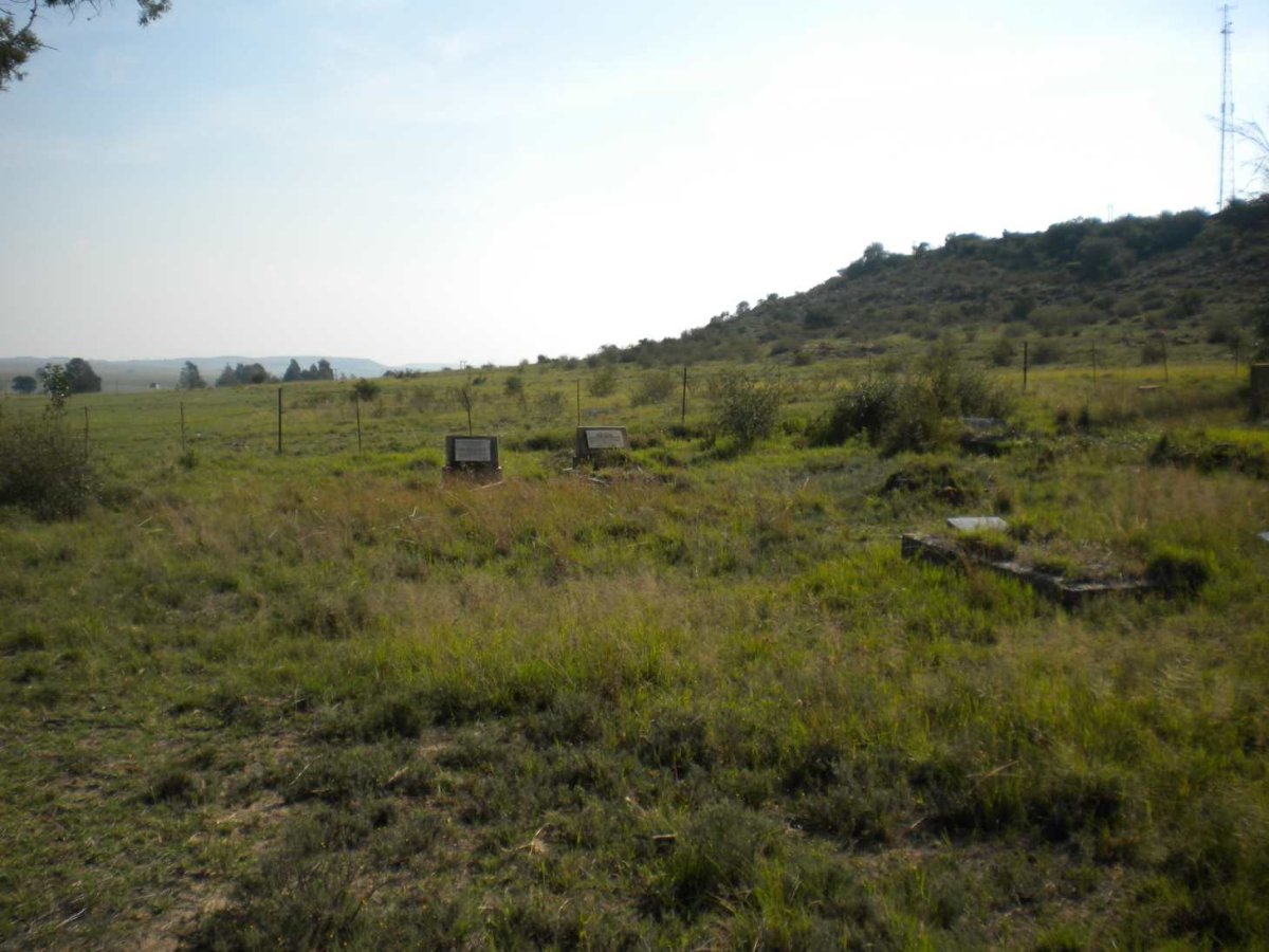 1. Overview