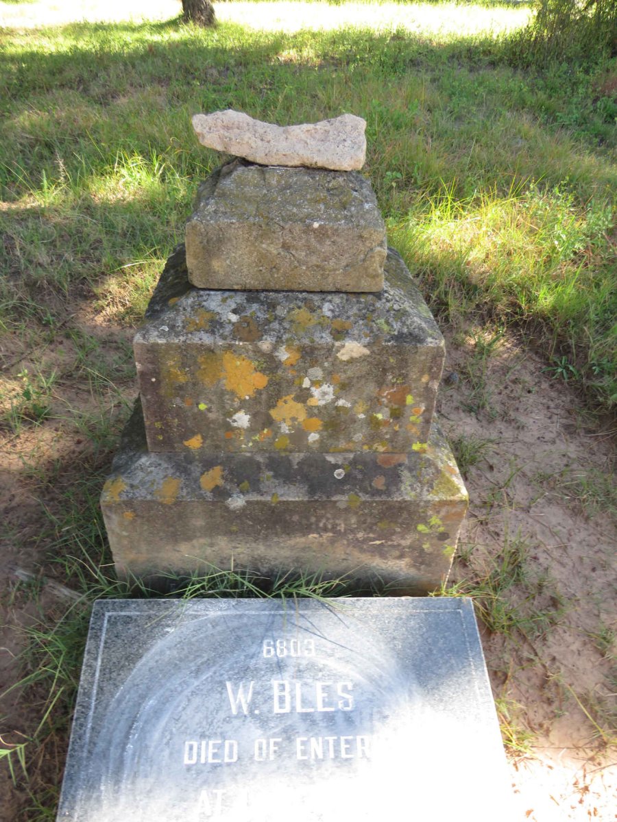BLES W. -1903 _1