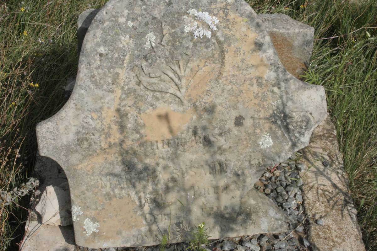 ? Martha Susanna