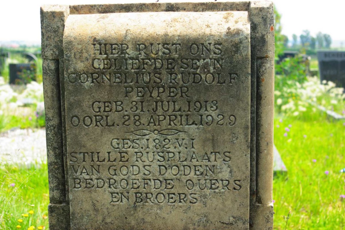 PEYPER Cornelius Rudolf 1913-1929