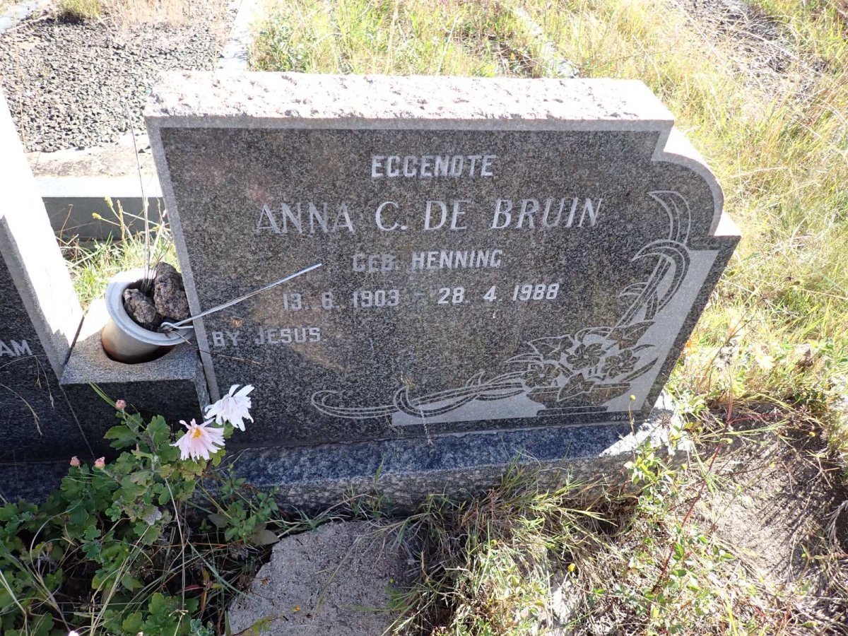 BRUIN Anna C., de nee HENNING 1903-1988