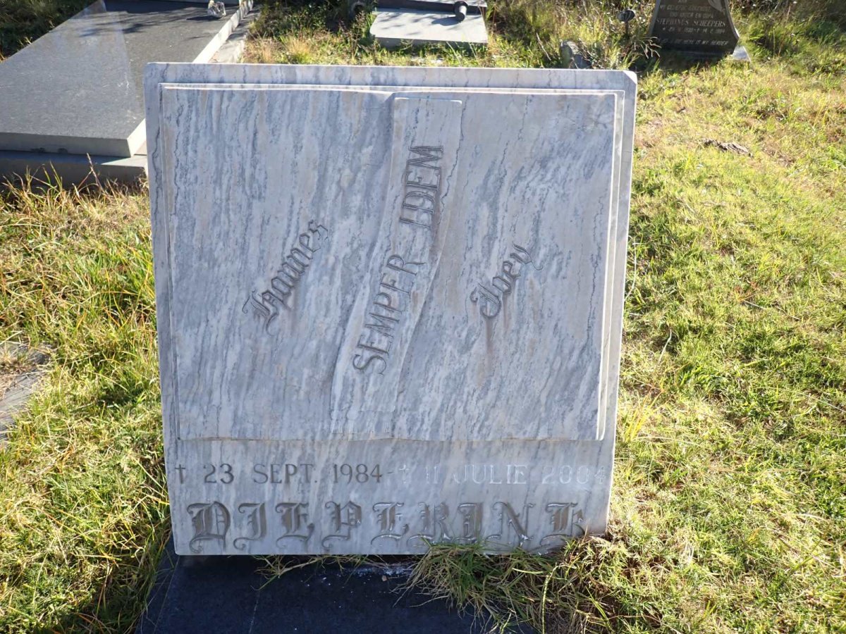 DIEPERINK Johannes -1984 &amp; Joey -2004
