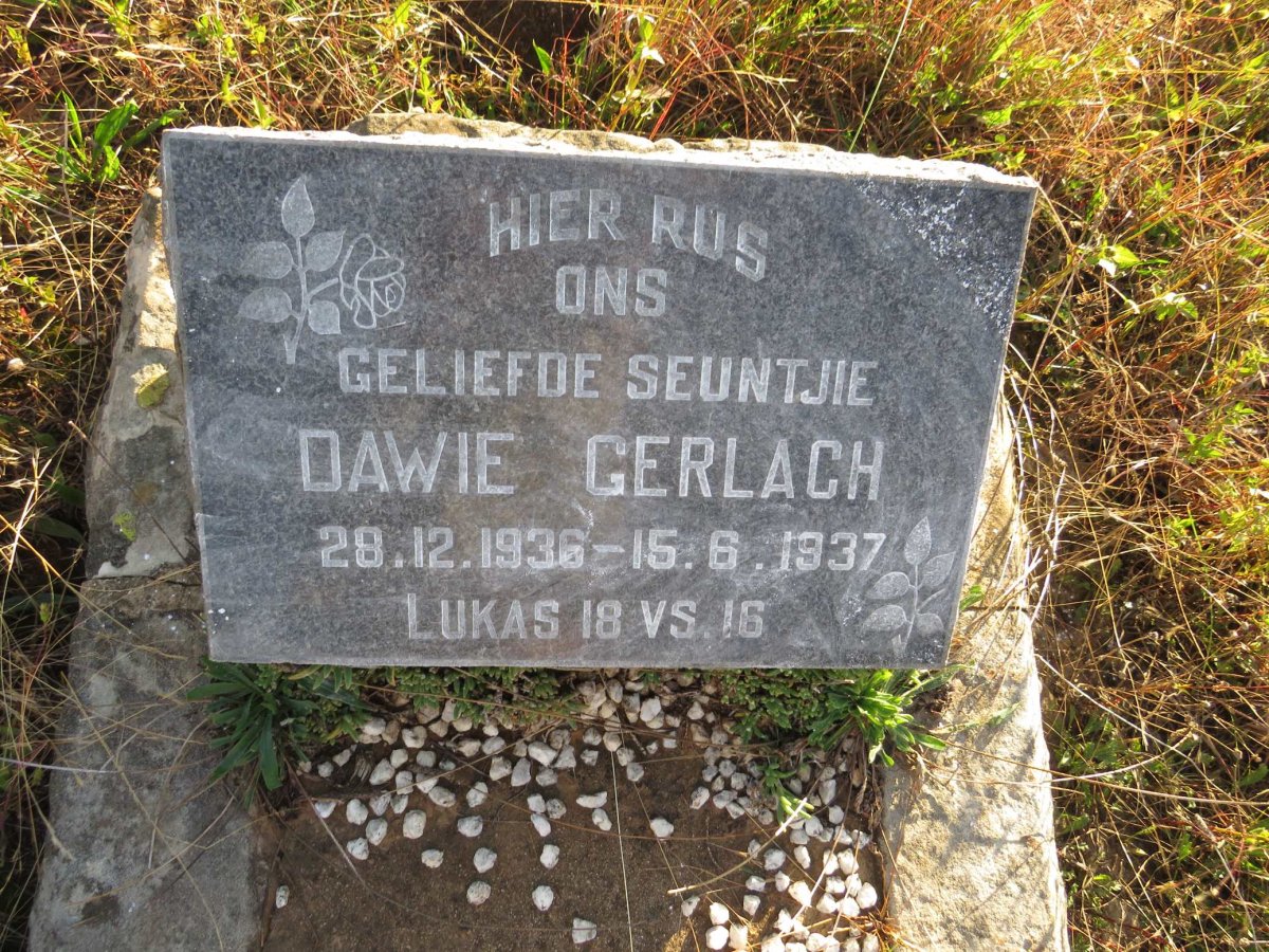 GERLACH Dawie 1936-1937