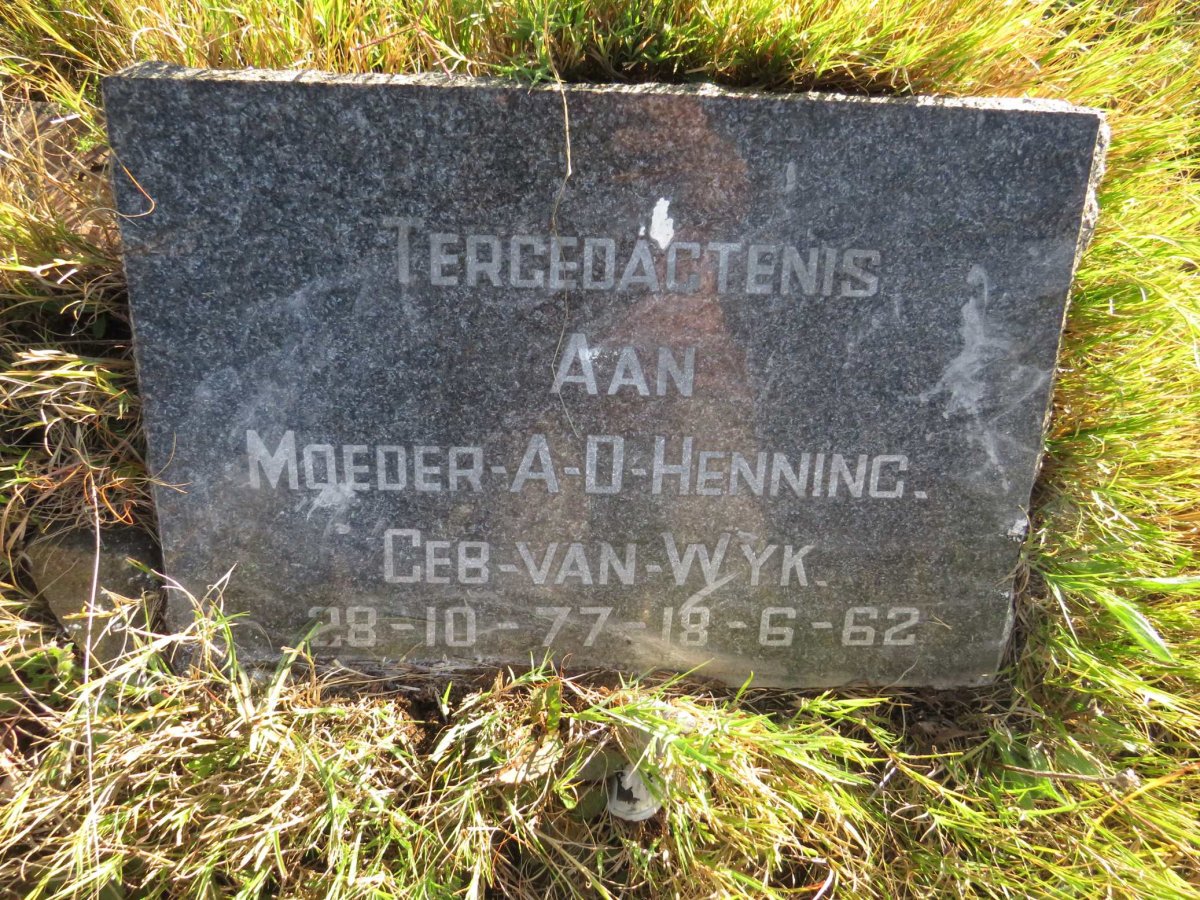 HENNING A.D. nee VAN WYK 1877-1962