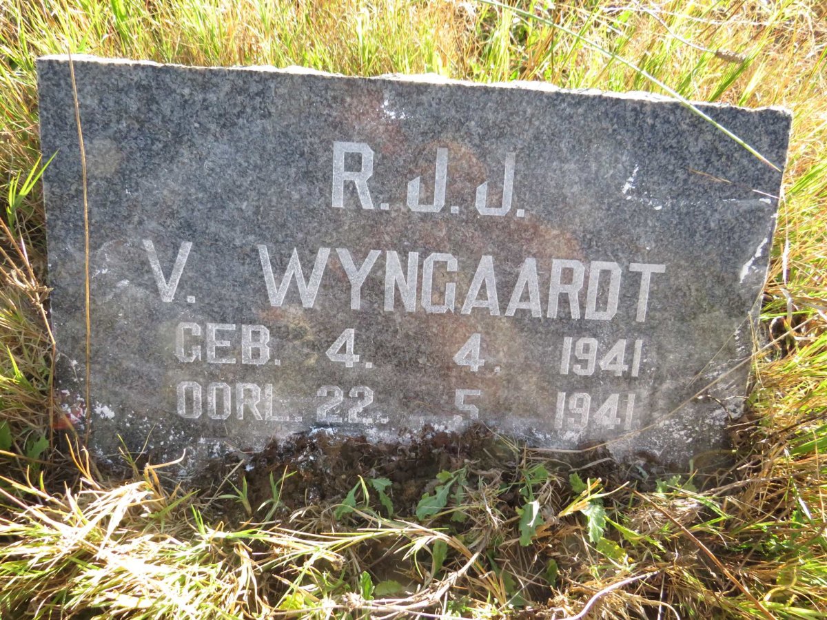 WYNGAARDT R.J.J., van 1941-1941