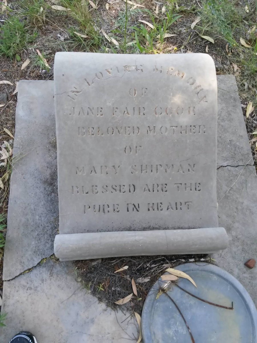 COOK Jane Fair