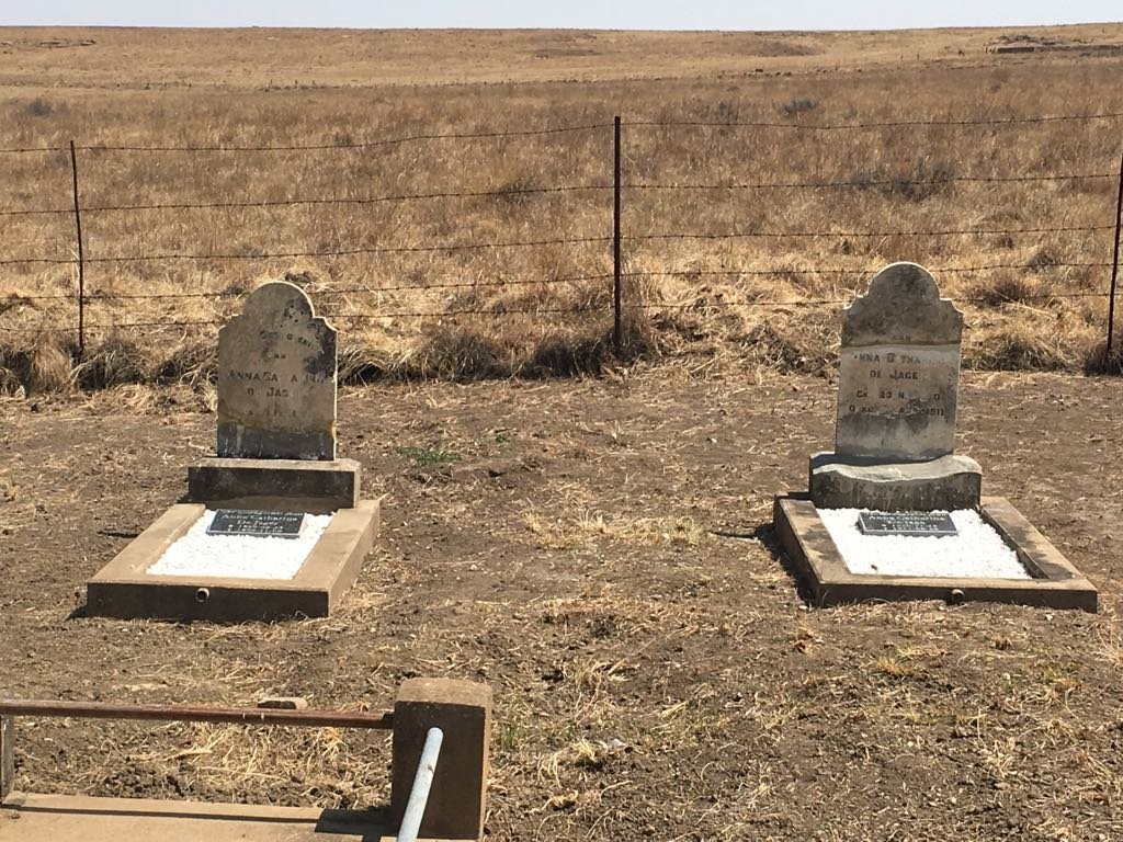 3. Overview / Oorsig DE JAGER dogtertjies