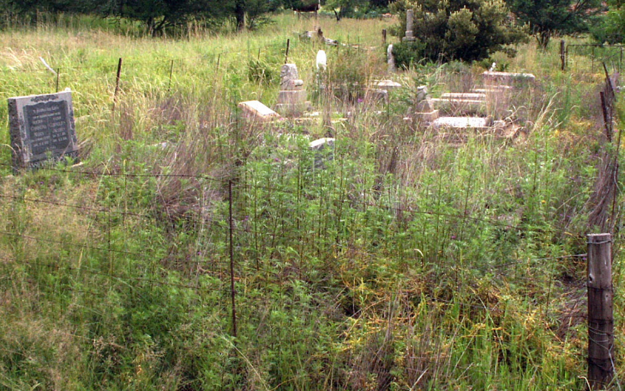 2. Overview 