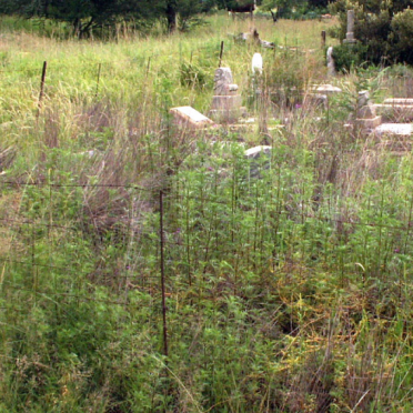 2. Overview 