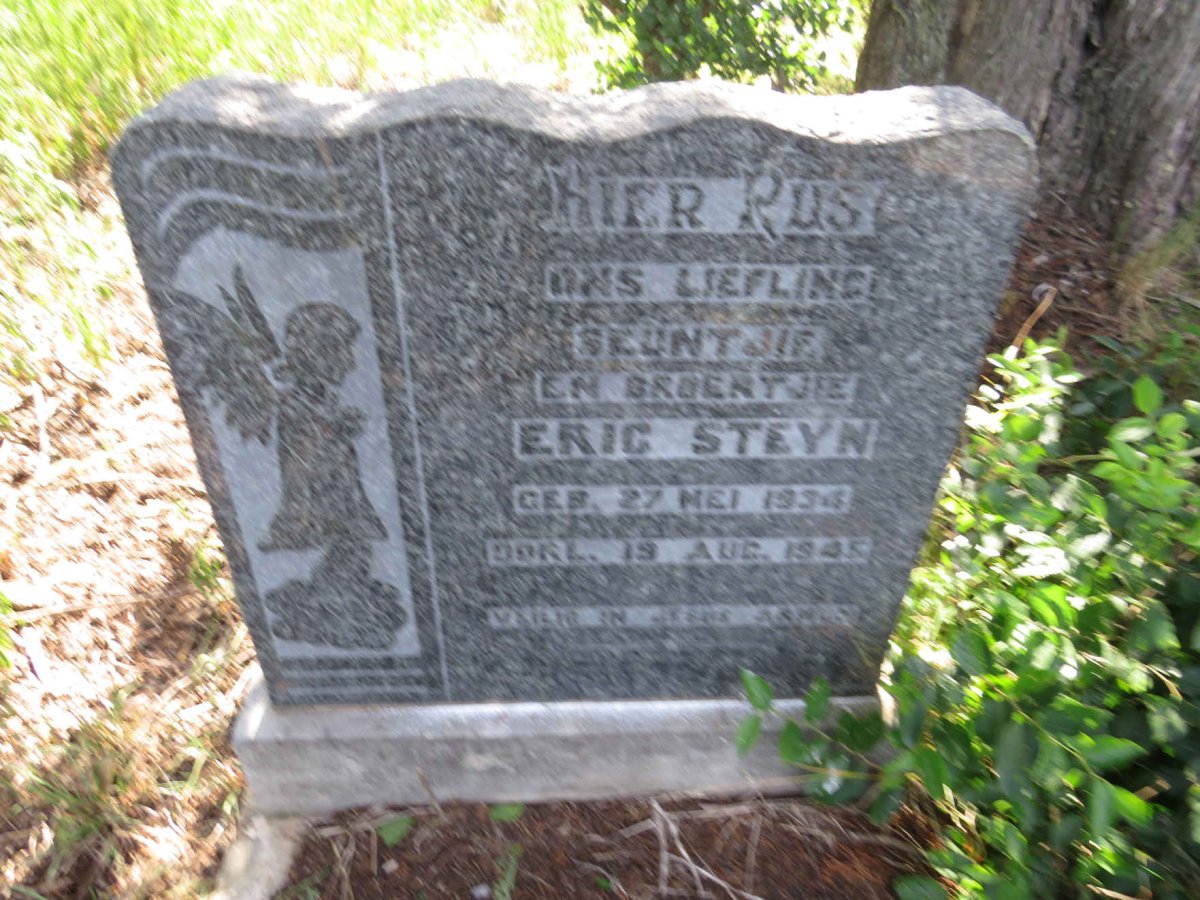 STEYN Eric 1934-1945