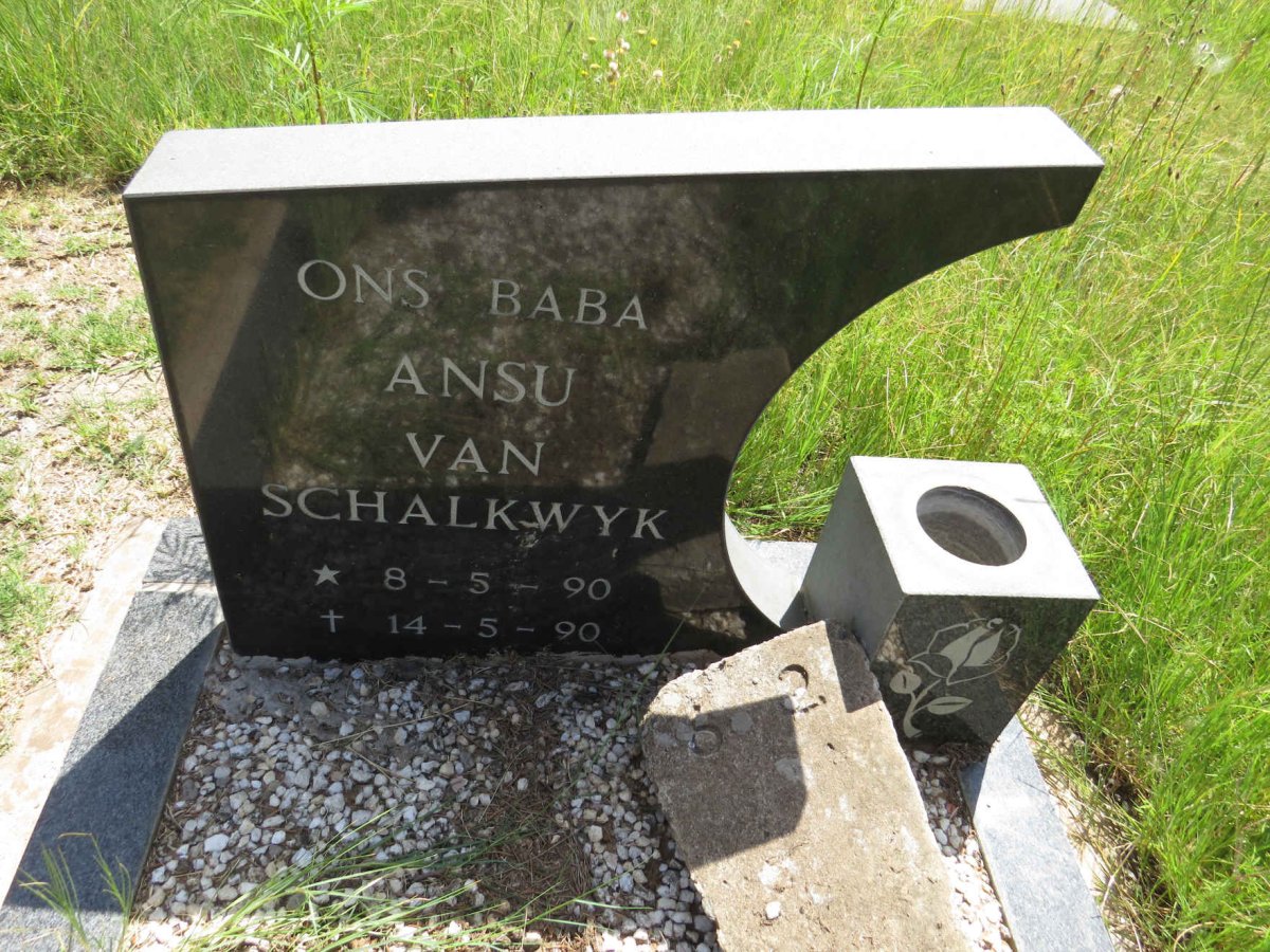 SCHALKWYK Ansu, van 1990-1990