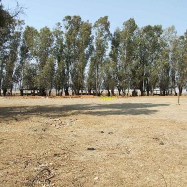 1. Overview
