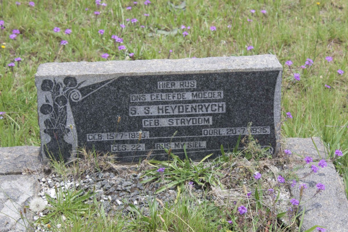 HEYDENRYCH S.S. nee STRYDOM 1893-1935
