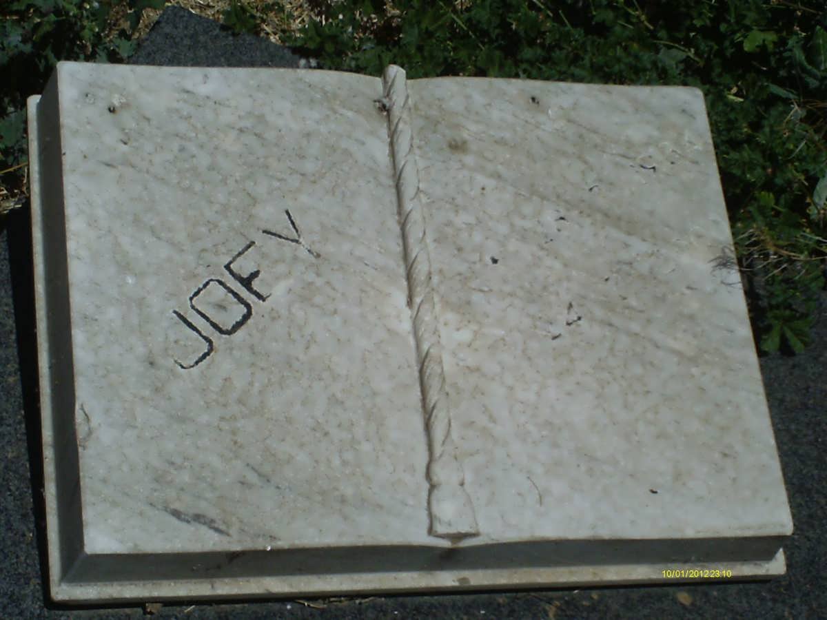 ? Joey
