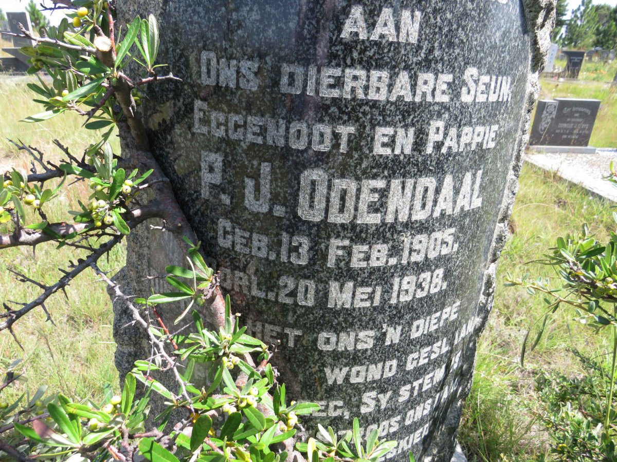 ODENDAAL P.J. 1905-1938