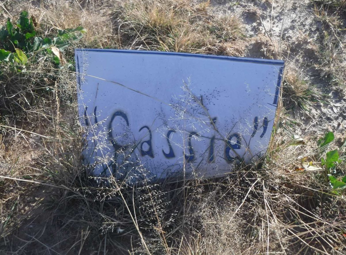 ? Cassie