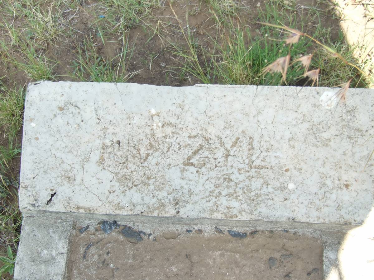 ZYL, v. 