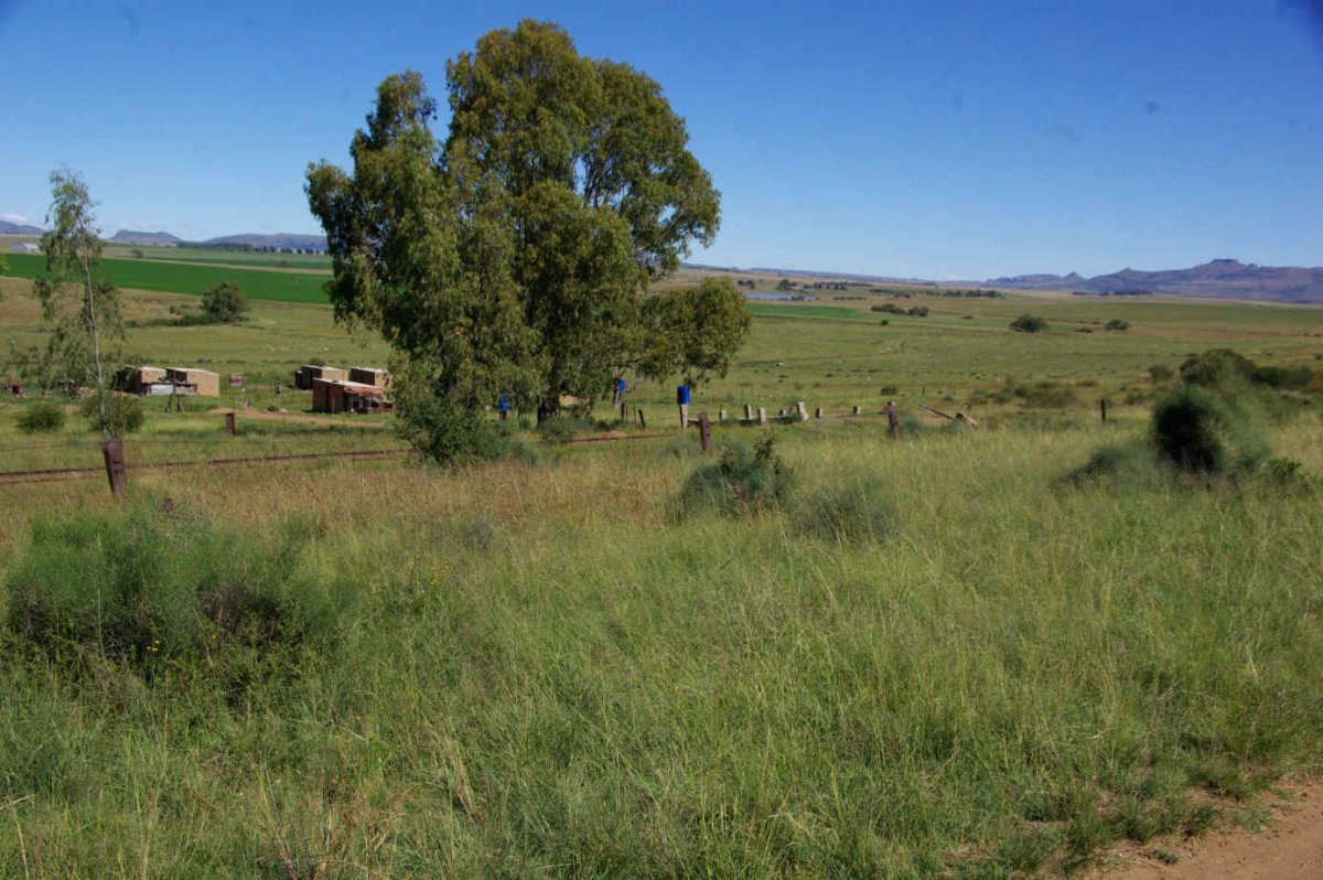 1. Oorsig/Overview