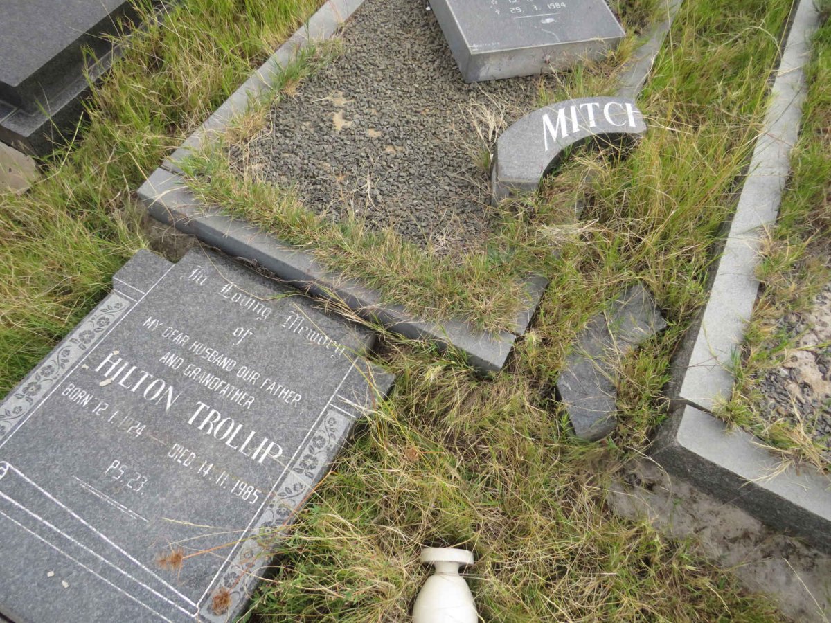 MITCHELL Hilton Trollip 1924-1985