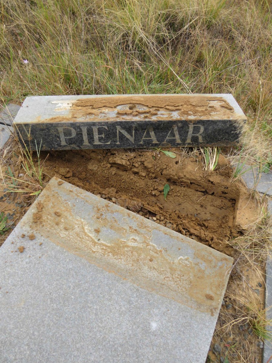 PIENAAR