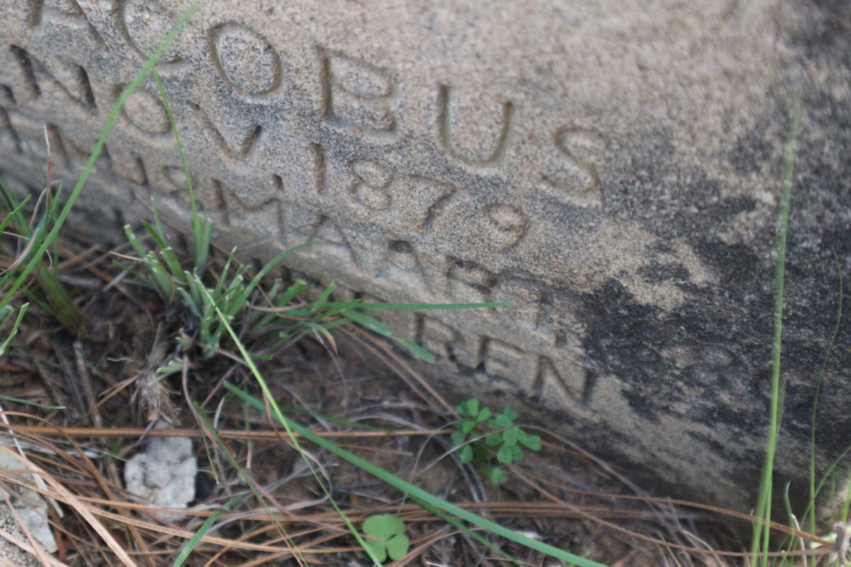 ? Barend Stephanes 1878-19? :: Philip Jacobus 1879-?