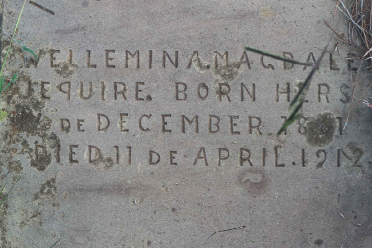 ? Willemina Magdale? nee HERS 1861-1912