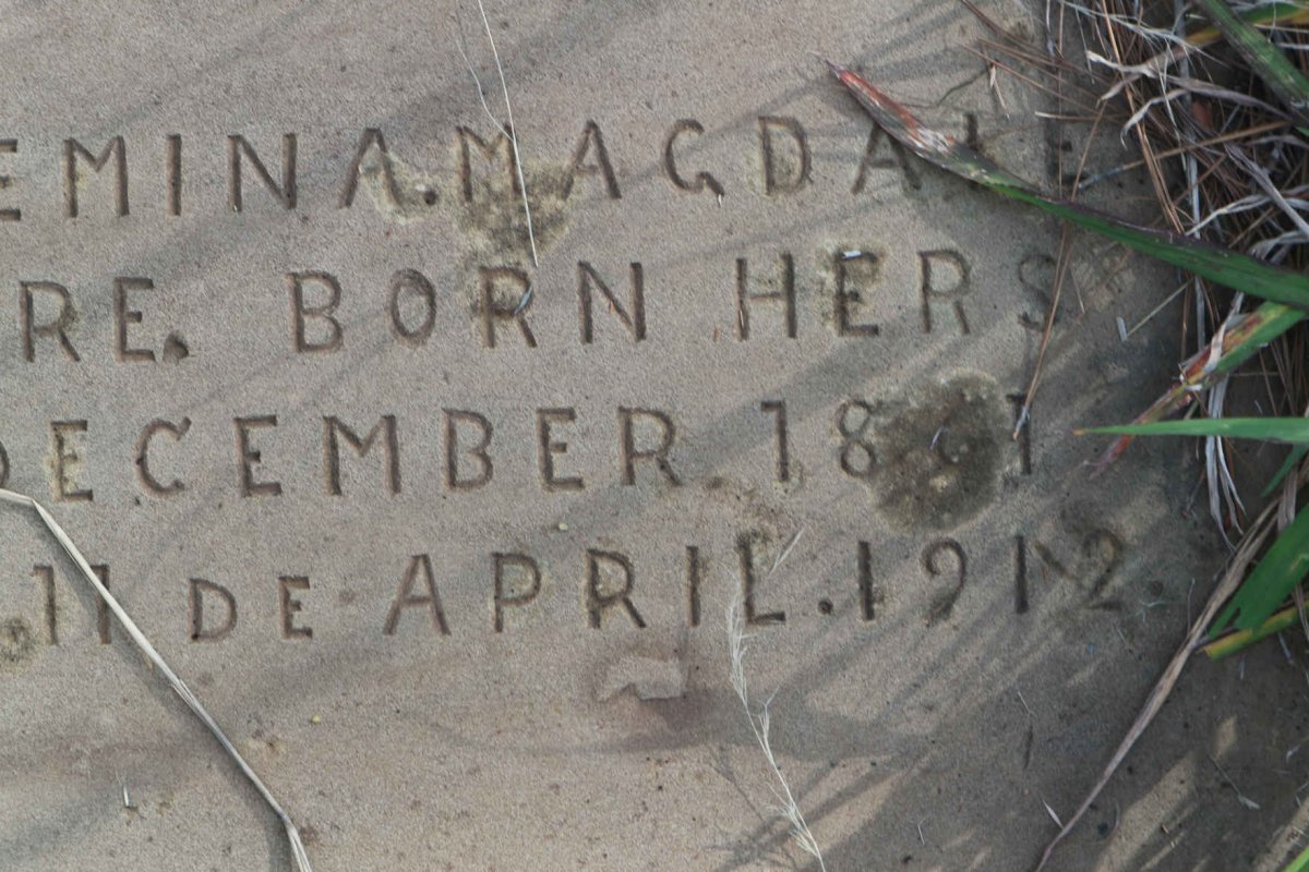 ? Willemina Magdale? nee HERS 1861-1912