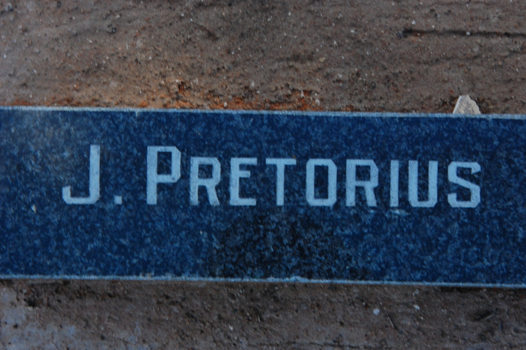 PRETORIUS J.